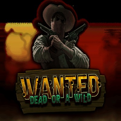 Wanted Dead Or A Wild